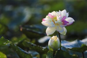 G05b11e54336484ee36c9aad71b08bdbe18d272b1191668a9dc9fa7fb1594c9ff0b4f2466218dc3c25ee042c2553799393320bb6f6f4f33008b48145ff8992dae 640