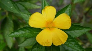 G600b84842519227b063f56e70a83565c843ca4fd5012f6db11fa5c9785011290869aca35dae4d2dfc497d1a23627564c53ca46dcac5cb2cfb185f6b4e183c25d 640