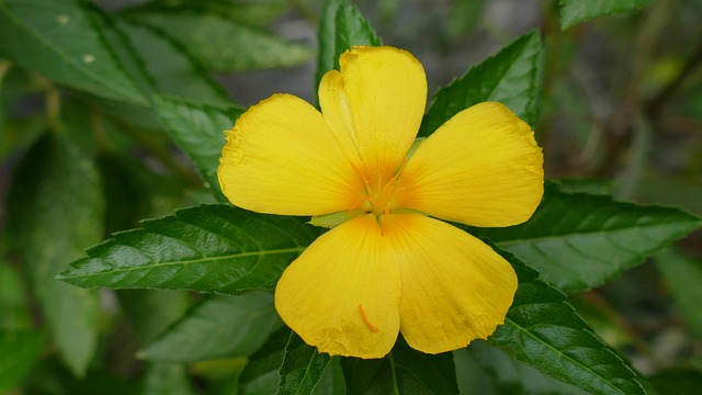 G600b84842519227b063f56e70a83565c843ca4fd5012f6db11fa5c9785011290869aca35dae4d2dfc497d1a23627564c53ca46dcac5cb2cfb185f6b4e183c25d 640